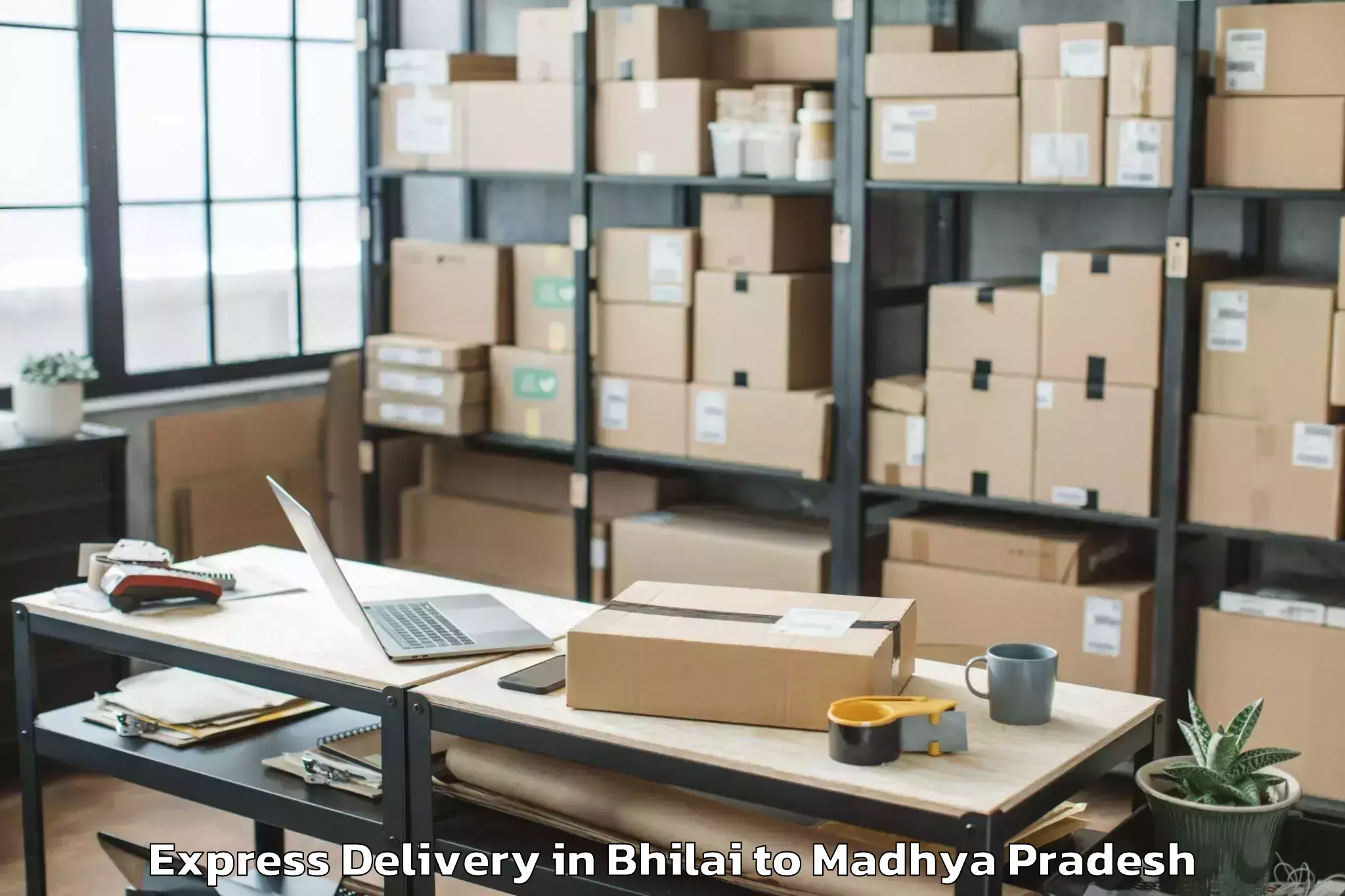 Professional Bhilai to Mahidpur Express Delivery